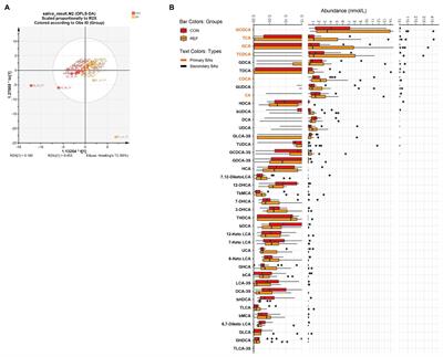 The Spatial Landscape of the Bacterial Community and Bile Acids in the Digestive Tract of Patients With Bile Reflux